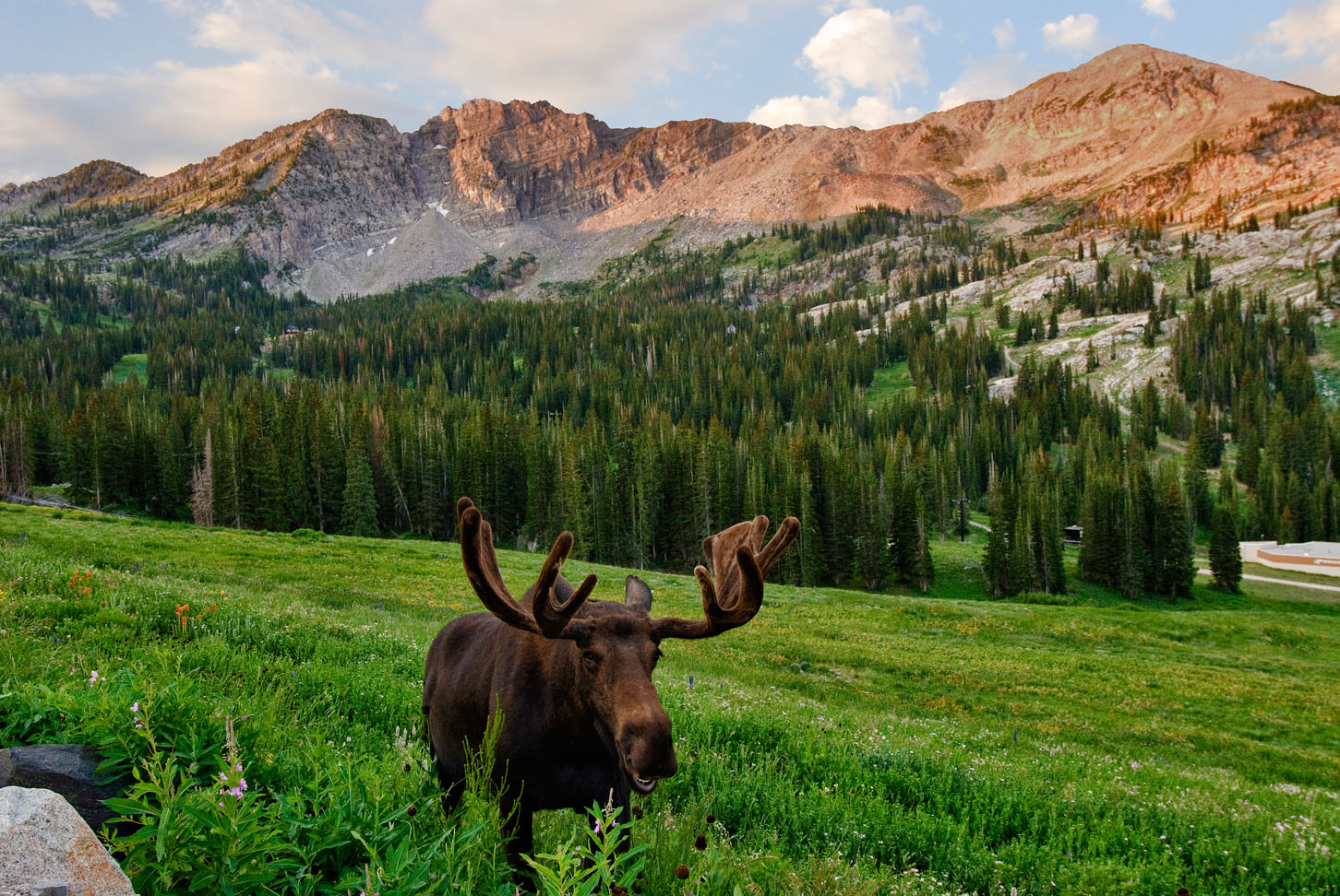 Welcome to LittleCottonwoodCanyon.org